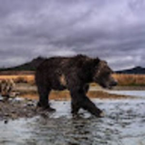 Meet your Posher, Rob